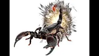 Primeval - Brontoscorpio anglicus