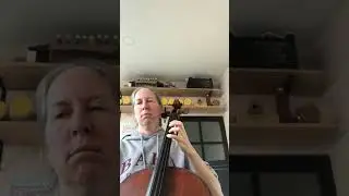 The swing pacif