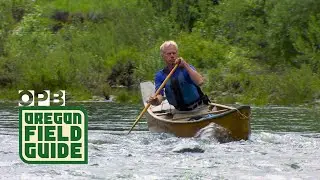 Tim Palmer&rsquo;s meditation on Oregon's rivers