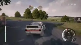 Do you even Rally? - Dirt Rally Moments