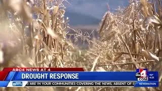Utah Drought Response