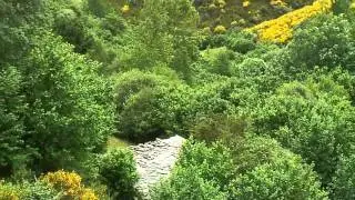 devesa de As Valiñas (Visuña-O Courel).MP4