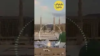 Rehmaton ke Taj Waley 💖 #naat #naatsharif #naatstatus #islam #islamic #dua #prayer #religion