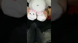 Hit supermarkt Song mit Hase
