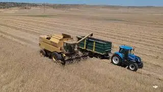 New Holland TX 68 Plus & New Holland T7.215s in action!!
