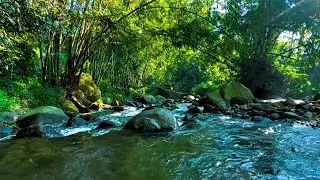 🔴 Crystal River Escape | Soothing Nature Sounds for Peaceful Moments