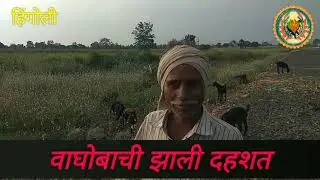 Hingoli