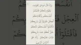 Surat Al-Baqarah Ayat 49-57 (Hal 8) | Al-Baqarah | Asy-Syaikh Alaa Aqil