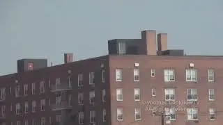 Two helicopters and swamp gas