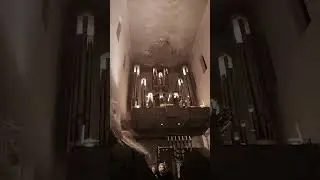 Orgelkonzert Dom Würzburg Dezember 2025@romanova1963 @Путешественница1963 