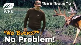 Summer Scouting For Fall Hunting