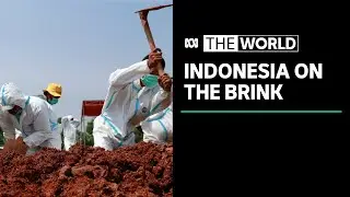 Warnings Indonesia's COVID-19 outbreak will further worsen | The World