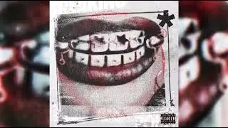 NEVER SWITCH (Official Audio)