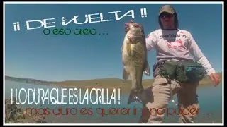 PESCA de BLACK BASS en POST-FREZA || PLAYING CARDS WELL in FISHING POST-SPAWN 