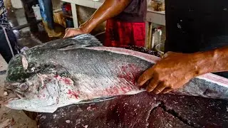 PROFESSIONAL FISH CUTTING INDONESIA || GIANT MAHI MAHI  FISH CUTTING SKILLS