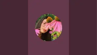 Amanda plantas y más plantas