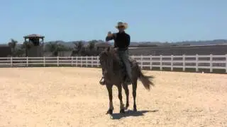 Horses that wont pick up a certain lead