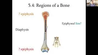 BIOL 130 Chapter 5 Leilehua