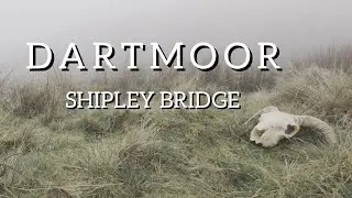 Dartmoor Hike - Shipley Bridge