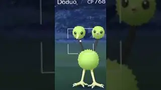 Shiny Doduo