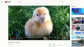 How to auto repeat a YouTube Video