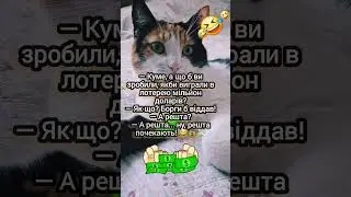 Коли виграв у лотерею 😂💰 #shorts #гумор #куми #гроші #кішкадаша
