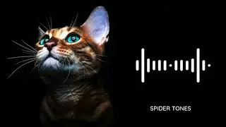 New Trending Ringtone 2021🔥🔥|| English Ringtone