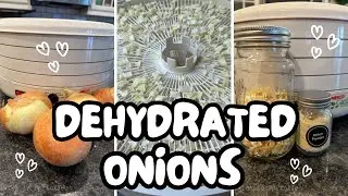 Dehydrated Onions & Make Homemade Onion Powder