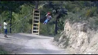 mono en celo en el mas de borr&agrave;s (2009)