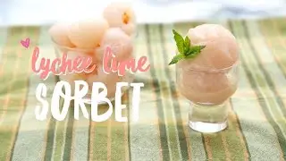 How to Make Lychee Lime Sorbet &hearts; Easy Sorbet Recipe