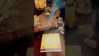 SOLAR LIGHT UPGRADE ✨ #shorts #oracleoftheday #oraclemessageoftheday #tarotreader #upgrade #solar
