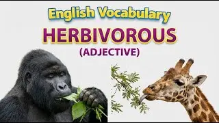 1229) Herbivorous ... word meaning, synonym, antonym .... English vocabulary for SSC, CGL, CAT exam