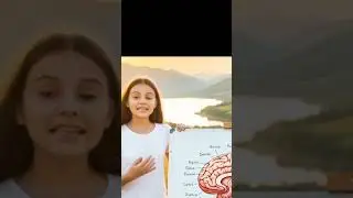 🧠 Amazing Brain Facts You Never Knew #Shorts