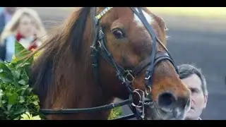 Classic European Racing 1987 Prix d' Amerique Hippodrome de Vincennes : Ourasi (1.16.3)