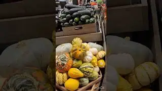 یه دور تو سوپر مارکت هیجان انگیز Dubai Mall |دبی مال