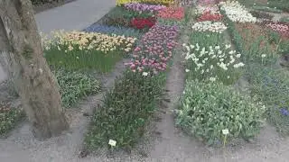 Poldertuin Anna Paulowna Bloemendagen 2025 (1/3)
