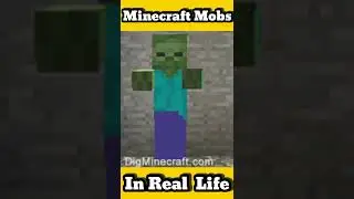 MINECRAFT Mobs In REAL LIFE #shorts