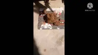 आज हमलोग बनाये गे मिटटी का  sibling wala smoke fountain