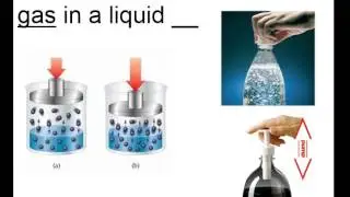 Video 13.2  H Chem Zinovchik Temperature and Pressure Effects on Solubility