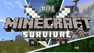 Minecraft Live India | Sighcraft S1 | FaceSCam