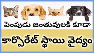 Dr.Dog Pet care corporate hospital services explained by Dr Muralidhar - Hyderabad