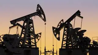 Woodland Development Corp. Investee Highlight