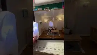 Making a Pepper&rsquo;s Ghost illusion 👻 #illusion  #opticalillusion #ghost #halloweendecor
