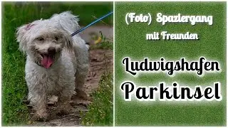 Ludwigshafen Parkinsel