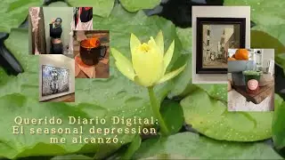 evitando caer en el propaganda del seasonal depression 🪷 (spoiler alert: ca&iacute; en la propaganda) 