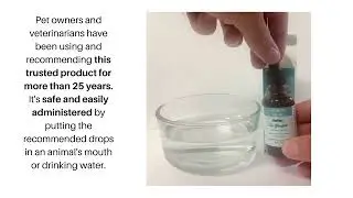 JOOF Holistic Pet : Dr. Goodpet Arthritis Relief