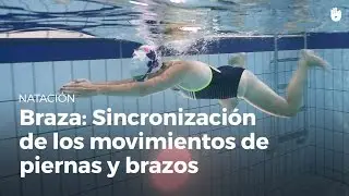 Sincronización de los movimientos de piernas y brazos | Braza