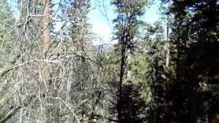 Hummer/Canopy Tour - Elite Land Tours - Palm Springs, California