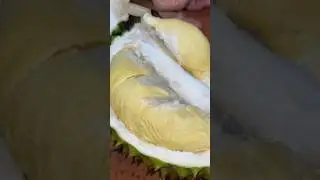 Sầu ri&ecirc;ng #saurieng #mukbang #food #cooking #delicious