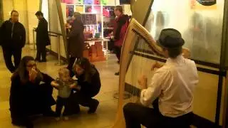 Erik Heger The New York City Harp Guy plays Clocks